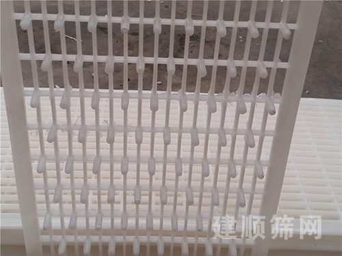 過(guò)濾板圖片3