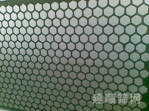 復(fù)合網(wǎng)圖片6 復(fù)合網(wǎng)圖片6